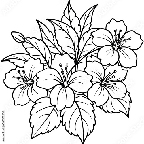 Hibiscus Flower Bouquet illustration coloring book page design  Hibiscus Flower Bouquet black and white line art drawing coloring book pages for children and adults