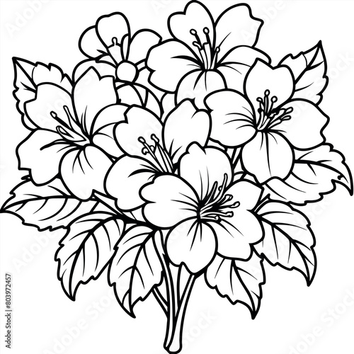 Hibiscus Flower Bouquet illustration coloring book page design  Hibiscus Flower Bouquet black and white line art drawing coloring book pages for children and adults