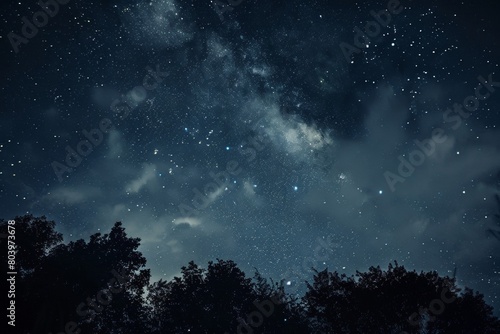Majestic Night Sky with Stars Above Treetops