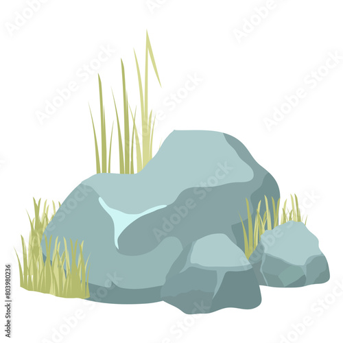 Rock And Grass Vector photo