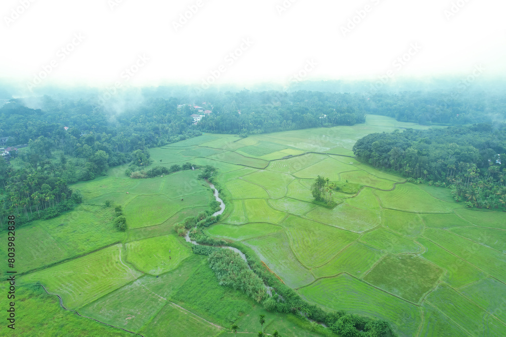 kerala god's own country kerala god's own country