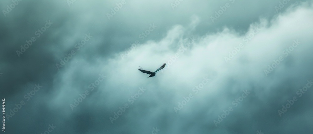 Fototapeta premium Harmony in chaos: A lone bird soaring amidst stormy clouds, finding peace amidst turmoil.