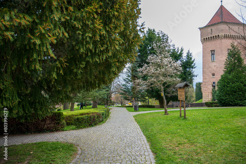 Pavement walkway in park with trees.