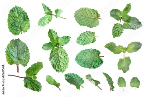 A bunch of green leaves on a white surface. Perfect for nature and environmental concepts