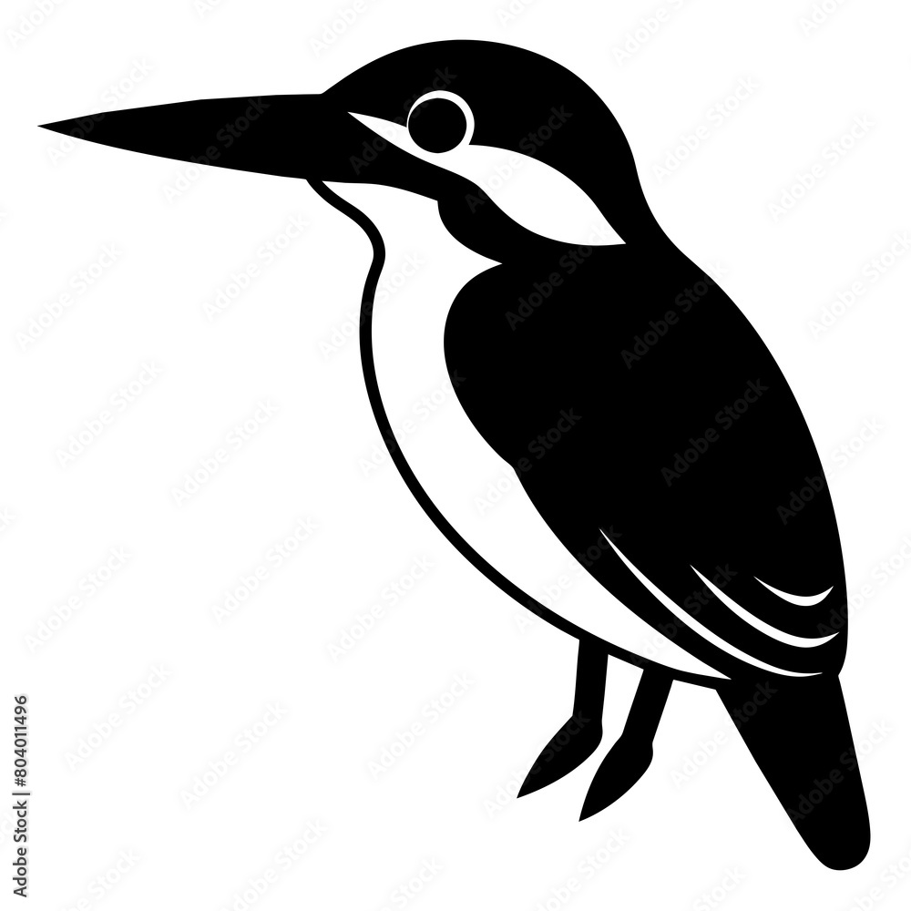 Fototapeta premium Majestic Kingfisher Silhouette: A Stunning Avian Impression