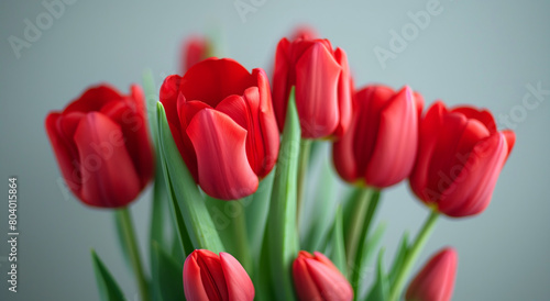 Red tulips bouquet, on gray background. Spring and Valentine's Day concept.  Banner with copy space.  Design for greeting card, invitation, poster. © NeuroCake