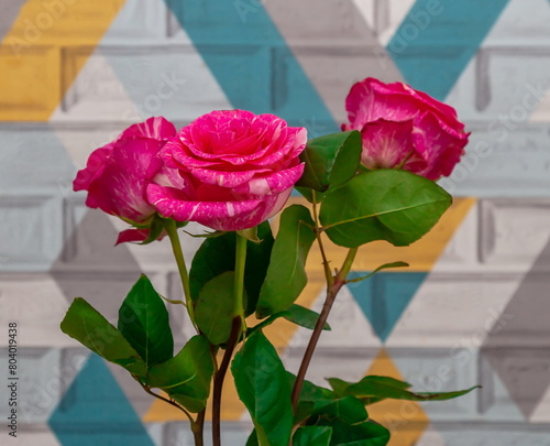 A bouquet of three roses in close-up on the background of the wall wallpaper
