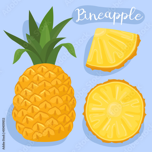 Pineapple. Ananas comosus. Tropical exotic fruit. Half whole and slice of pineapple. Juicy sweet fruits. African and asian fruit. Cooking healthy ingredien. Cartoon vector illustration.  photo