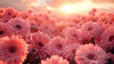 Romantic Pink Blooms: Soft Pastel Dawn in a Serene Countryside