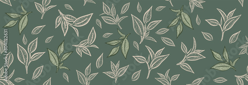 Green tea leaves. Hand drawn, vector.   © Tatiana