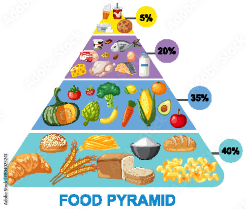Vector illustration of a nutritional food pyramid.