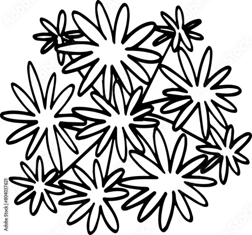 top view of tree hand drawing.