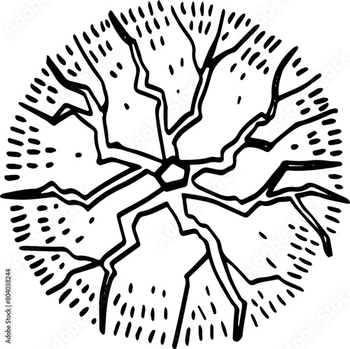 top view of tree hand drawing.