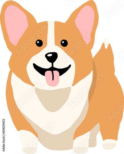 Welsh corgi