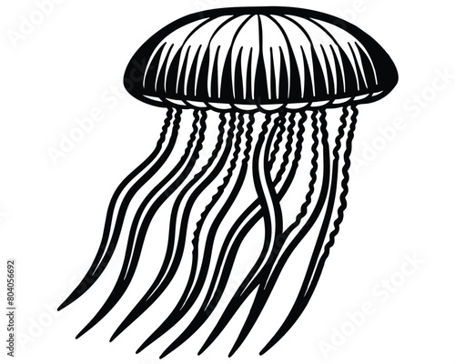 Black and white Jellyfish vector
