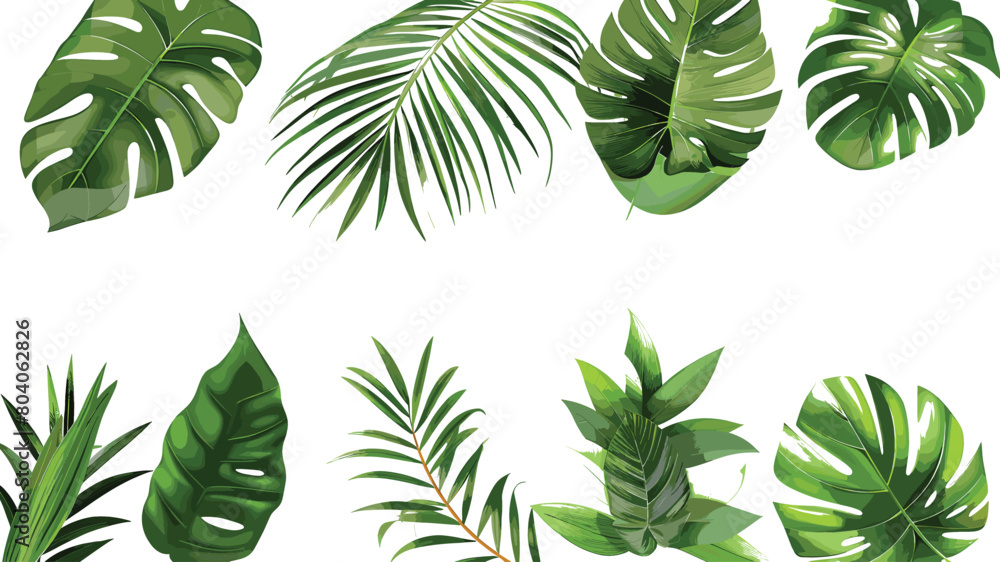 Tropical Green Leaves Variety Isolated on Transparent PNG Background