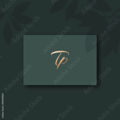 Tp logo design vector image
