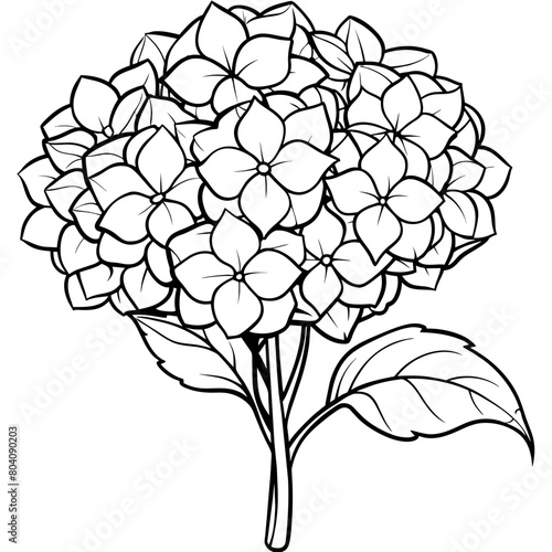 Hydrangea Flower  Bouquet outline illustration coloring book page design, Hydrangea Flower  Bouquet black and white line art drawing coloring book pages for children and adults
