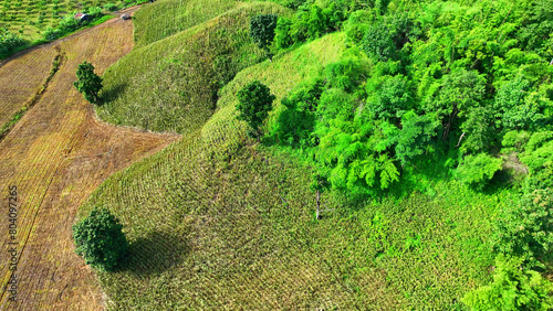 Aerial exploration of hill and plateau agricultural zones unveils unique farming practices, soil erosion patterns, and crop diversity, aiding sustainable land management. Tak, Thailand. 