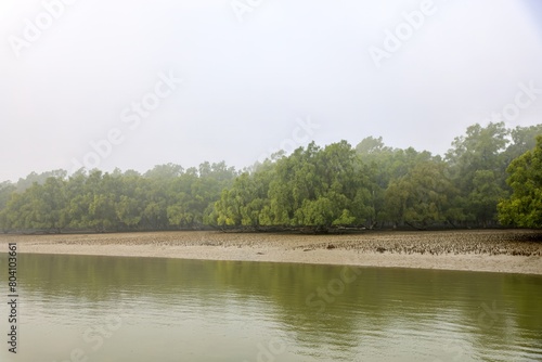 Scene of early winter morning at Sundarbans.this photo was taken from Sundarbans National Park,Bangladesh.