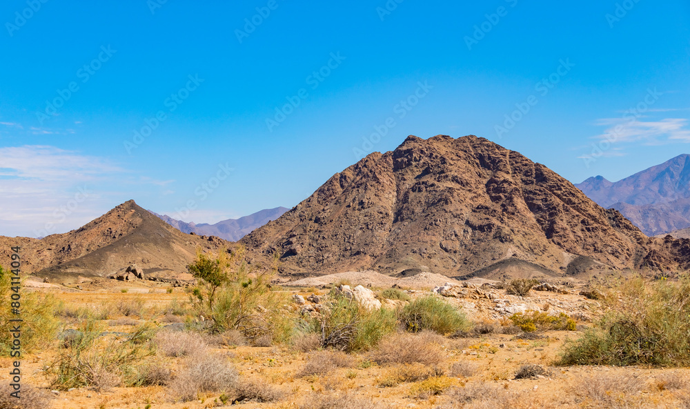 Arid landscape in the Richtersveld National Park Arid landscape in the Richtersveld National Park