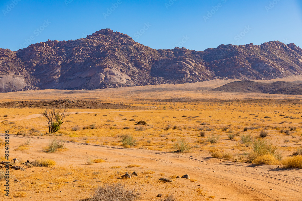 Naklejka premium Arid landscape in the Richtersveld National Park