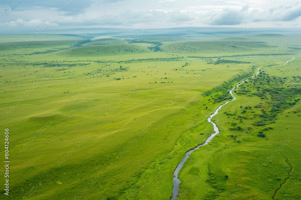 Aerial view of an endless grassland with a distant river