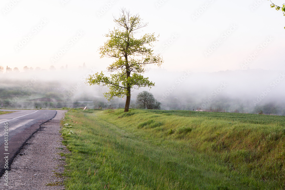 Very beautiful landscape with fog and green nature in the Republic of Moldova. Rural nature in Eastern Europe