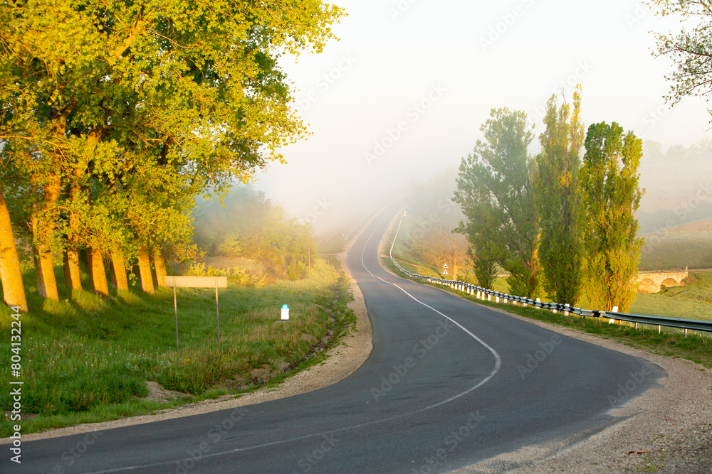 Fototapeta premium Very beautiful landscape with fog and green nature in the Republic of Moldova. Rural nature in Eastern Europe