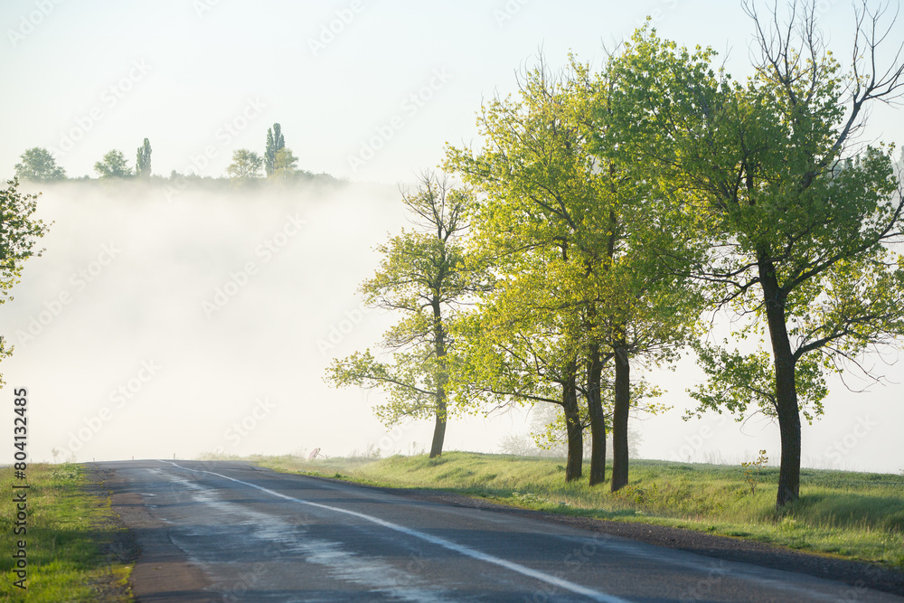 Very beautiful landscape with fog and green nature in the Republic of Moldova. Rural nature in Eastern Europe Very beautiful landscape with fog and green nature in the Republic of Moldova. Rural nature in Eastern Europe