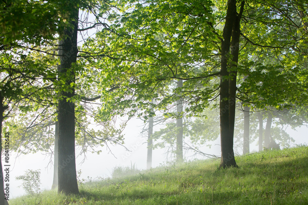 Very beautiful landscape with fog and green nature in the Republic of Moldova. Rural nature in Eastern Europe Very beautiful landscape with fog and green nature in the Republic of Moldova. Rural nature in Eastern Europe