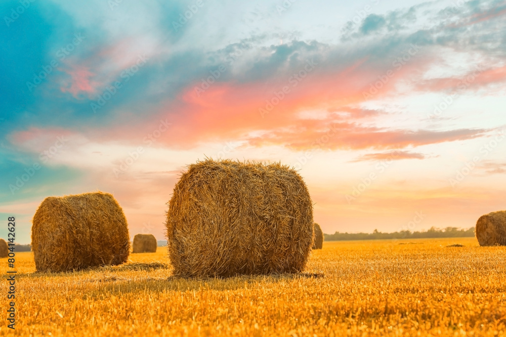 Hay bales in golden field under beautiful sky at sunset Hay bales in golden field under beautiful sky at sunset