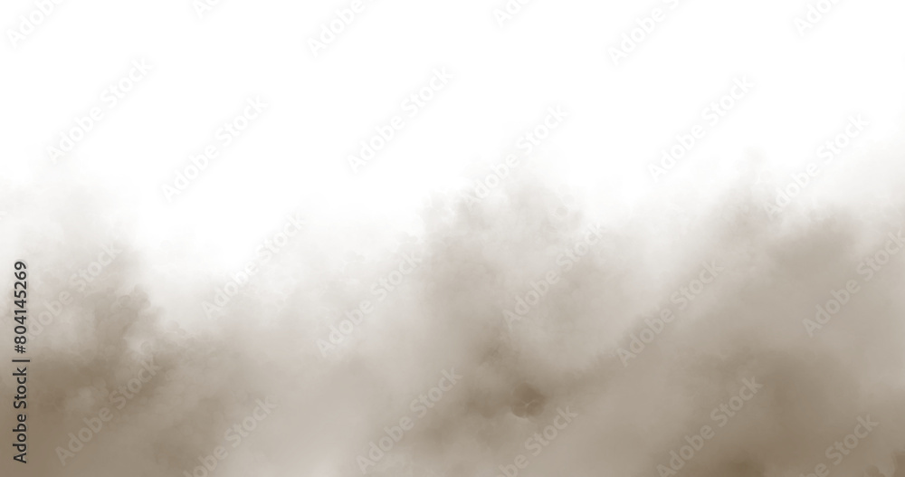 Fototapeta premium smoke in the fog