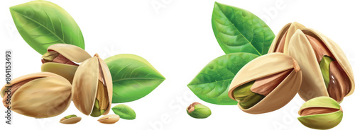Realistic pistachios. 3D pistachio nut
