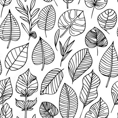 seamless pattern  vector of black and white clipart line doodle set of tropical leaf  isolated on white background