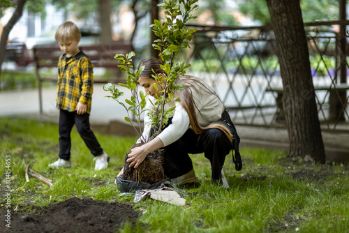 Planting a magnolia tree in spring. A woman plants a tree while her little son watches and helps her.