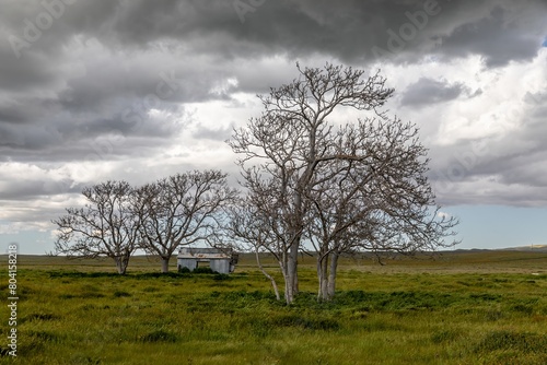Trees and dark clouds over a ranch in the countryside.  Santa Margarita, California, United States of America. photo