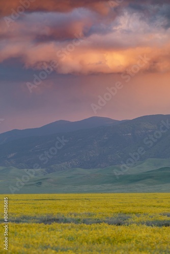 Majestic storm clouds, desert hills and yellow spring flowers during the spring superbloom at sunset. Carrizo National Monument, Santa Margarita, California, United States of America.