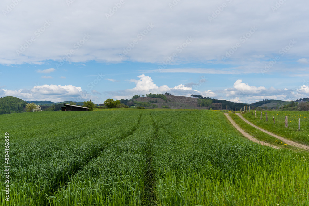 Landscape view in the german area called Rothaargebirge near the village Medebach Landscape view in the german area called Rothaargebirge near the village Medebach