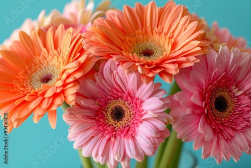 Beautiful bouquet of flowers. Holiday Background with flowers