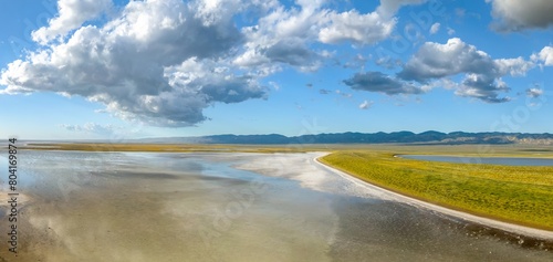 Soda Lake and yellow spring flowers during the spring superbloom. Carrizo National Monument, Santa Margarita, California, United States of America.