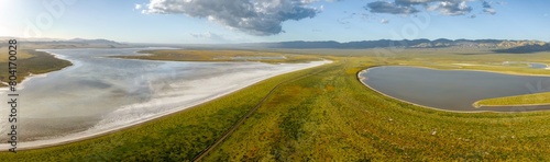 Tableau sur toile Soda Lake and yellow spring flowers during the spring superbloom