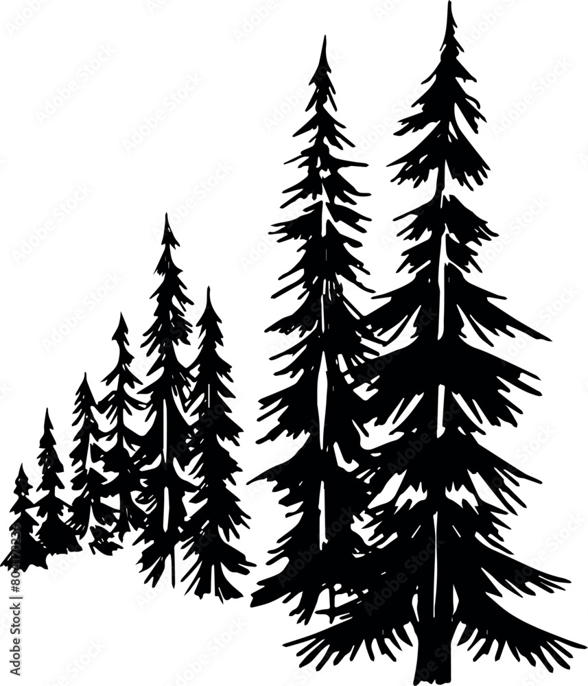 Obraz premium Pine tree silhouettes. Coniferous spruce horizontal background patterns, black evergreen woods vector illustration. Beautiful hand drawn panorama with treetops forest.