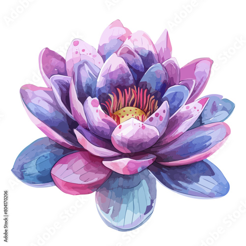 Watercolor vector of a lotus flower, isolated on a white background, design art, drawing clipart, Illustration painting, Graphic logo, lotus vector 