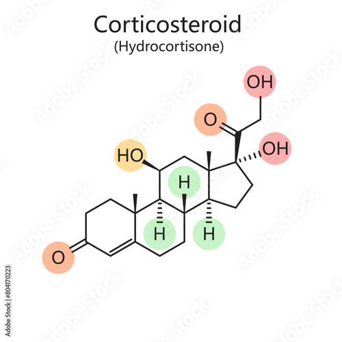 Chemical organic formula of molecular structure of Hydrocortisone diagram hand drawn schematic vector illustration. Medical science educational illustration