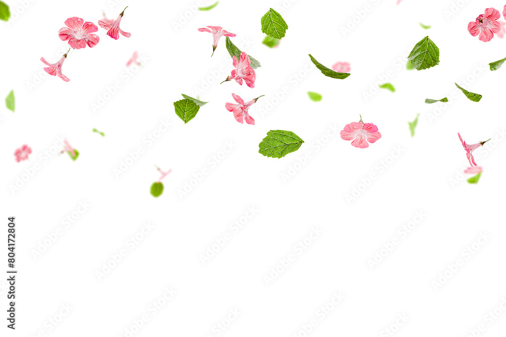 custom made wallpaper toronto digitalFresh green leaves with pink flowers flying background