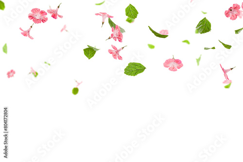 Wallpaper Mural Fresh green leaves with pink flowers flying background Torontodigital.ca