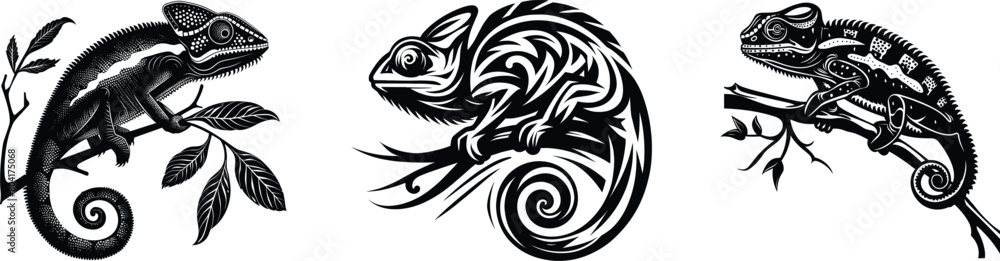 Set of chameleon, vector illustration. Set of chameleon, vector illustration.