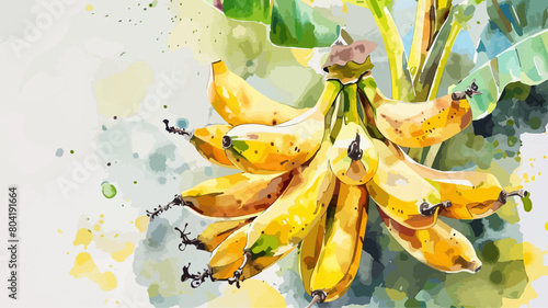 Bananen Pflanze Baum Ernte Tropisch Banane Sommer Obst Natur Blatt Wasserfarben Vektor