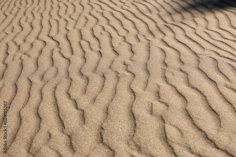 Close-up of wind-formed wavy patterns on sand, showcasing nature's intricate design. Close-up of wind-formed wavy patterns on sand, showcasing nature's intricate design.